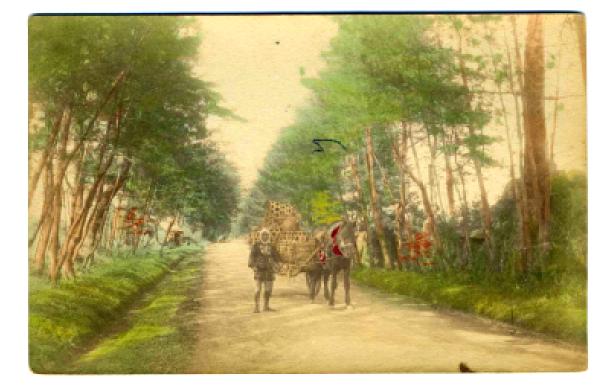 Japan 1900